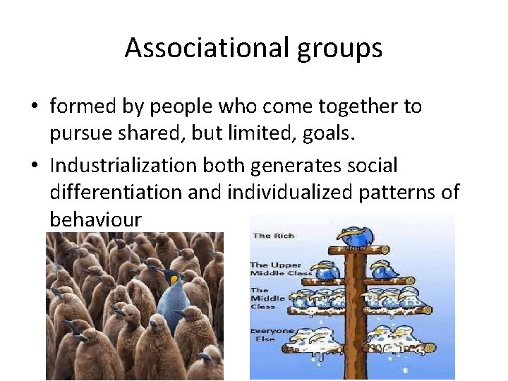 Associational groups • formed by people who come together to pursue shared, but limited,