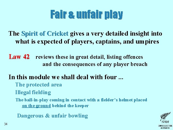 Fair & unfair play The Spirit of Cricket gives a very detailed insight into