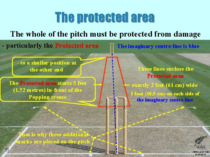 The protected area The whole of the pitch must be protected from damage -