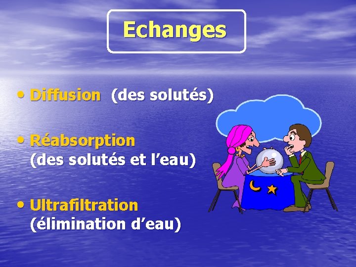 Echanges • Diffusion (des solutés) • Réabsorption (des solutés et l’eau) • Ultrafiltration (élimination