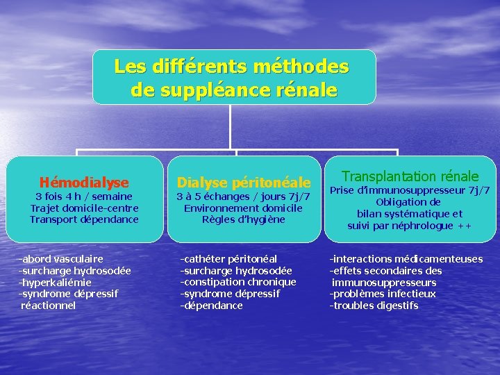Les différents méthodes de suppléance rénale Hémodialyse 3 fois 4 h / semaine Trajet