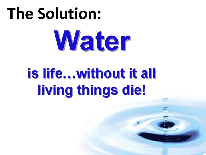 The Solution: Water is life…without it all living things die! 