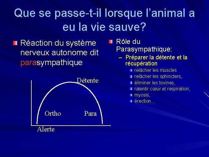 Que se passe-t-il lorsque l’animal a eu la vie sauve? Réaction du système nerveux