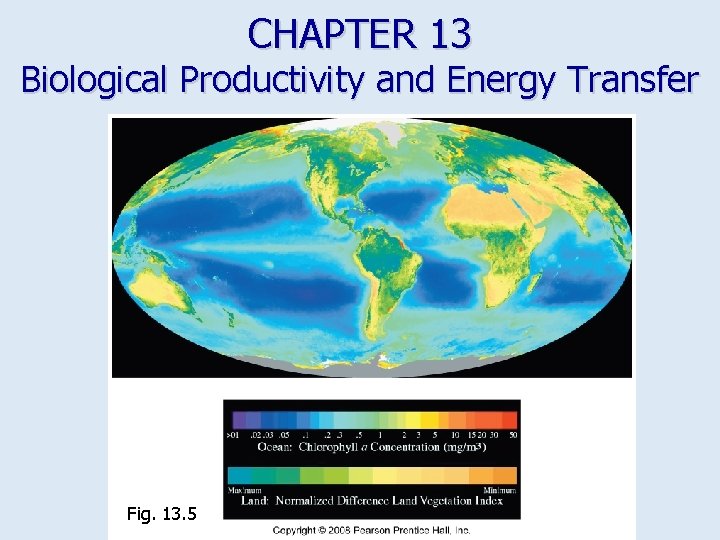 CHAPTER 13 Biological Productivity and Energy Transfer Fig. 13. 5 