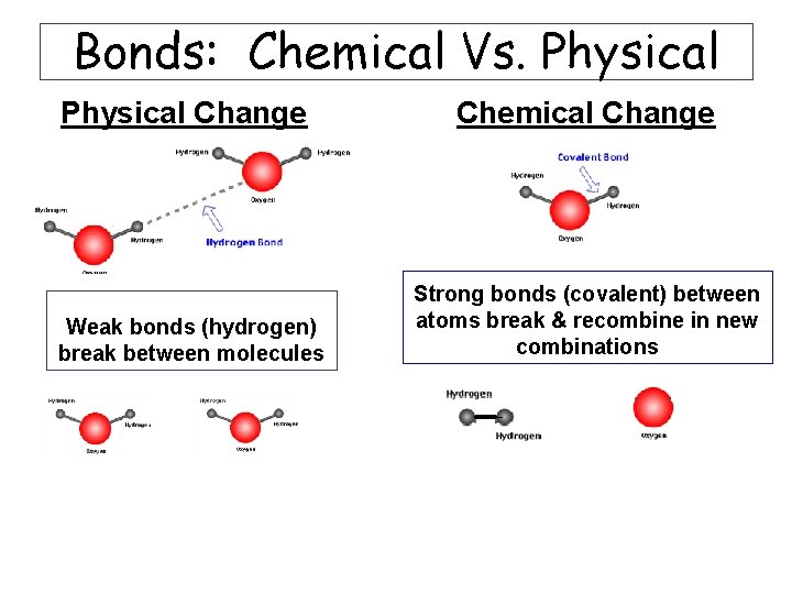 Bonds: Chemical Vs. Physical Change Weak bonds (hydrogen) break between molecules Chemical Change Strong