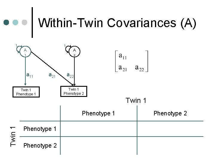 Within-Twin Covariances (A) 1 1 A A 1 2 a 11 a 21 Twin