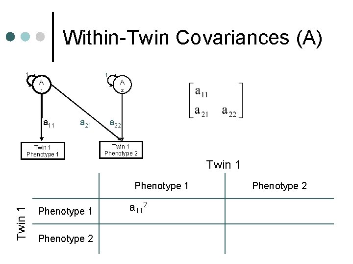 Within-Twin Covariances (A) 1 1 A A 1 2 a 11 a 21 Twin