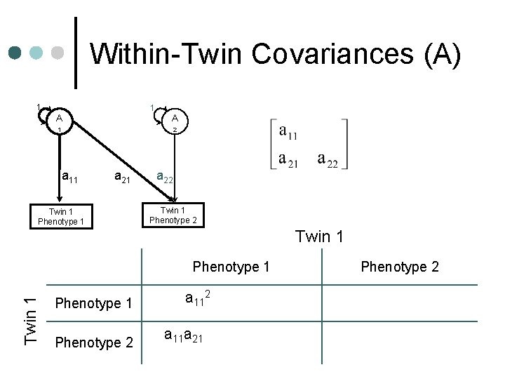 Within-Twin Covariances (A) 1 1 A A 1 2 a 11 a 21 Twin