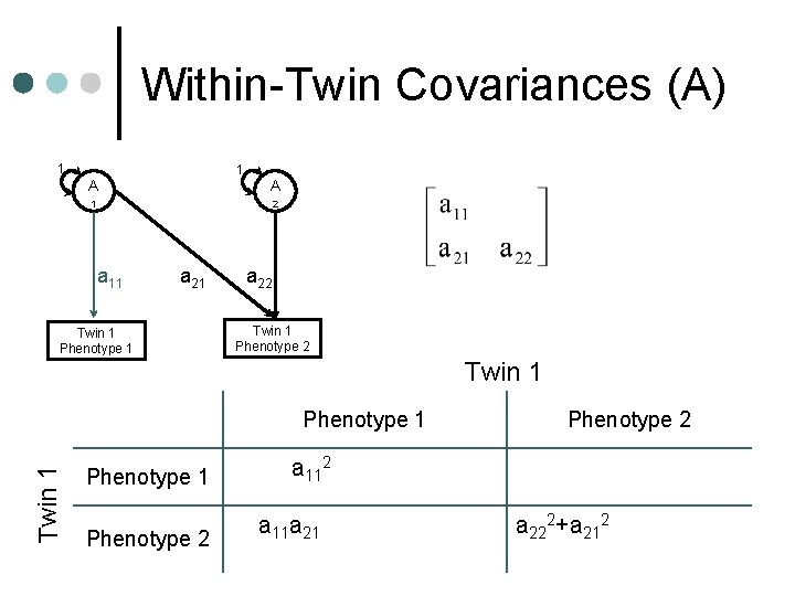 Within-Twin Covariances (A) 1 1 A A 1 2 a 11 a 21 Twin