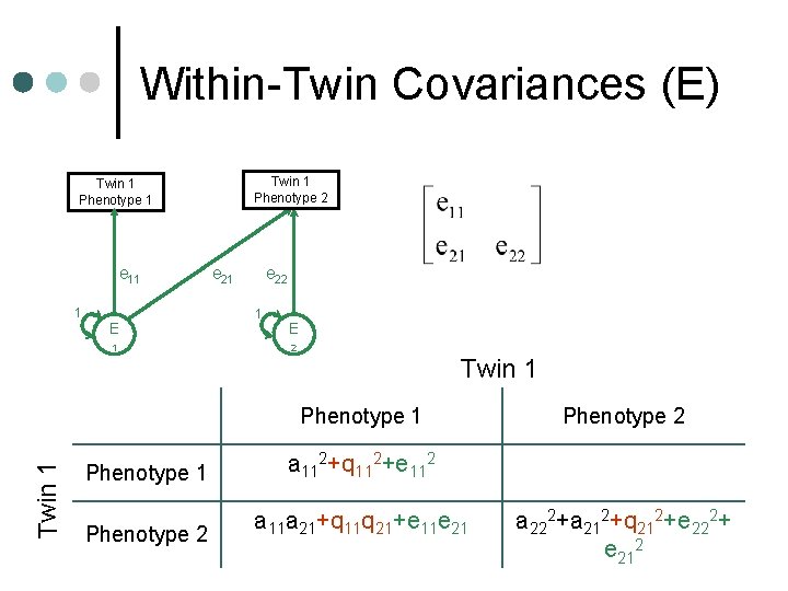 Within-Twin Covariances (E) Twin 1 Phenotype 2 Twin 1 Phenotype 1 e 11 1