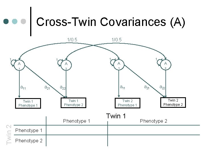 Cross-Twin Covariances (A) 1/0. 5 1 1 A 1 a 11 Twin 1 Phenotype