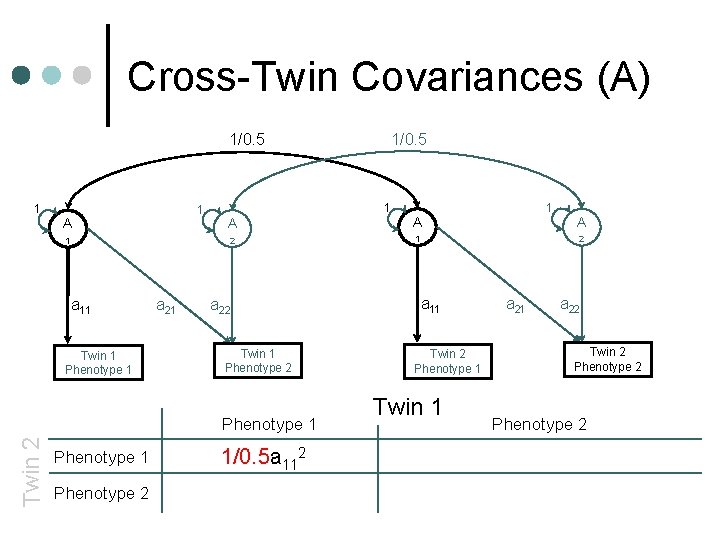 Cross-Twin Covariances (A) 1/0. 5 1 1 A 1 a 11 Twin 1 Phenotype