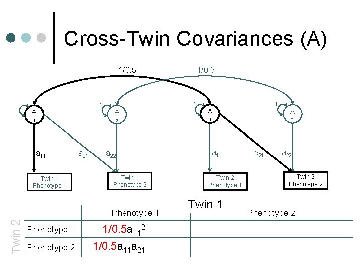 Cross-Twin Covariances (A) 1/0. 5 1 1 A 1 a 11 Twin 1 Phenotype