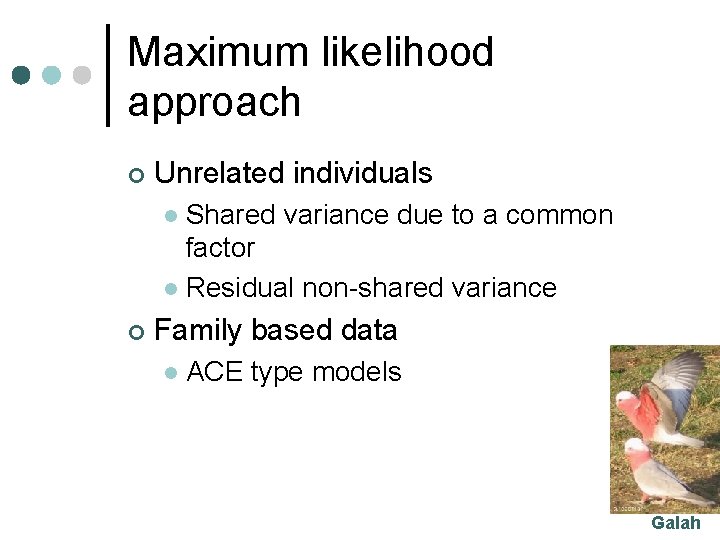 Maximum likelihood approach ¢ Unrelated individuals Shared variance due to a common factor l