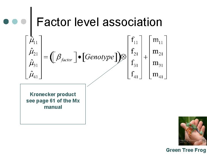 Factor level association Kronecker product see page 61 of the Mx manual Green Tree