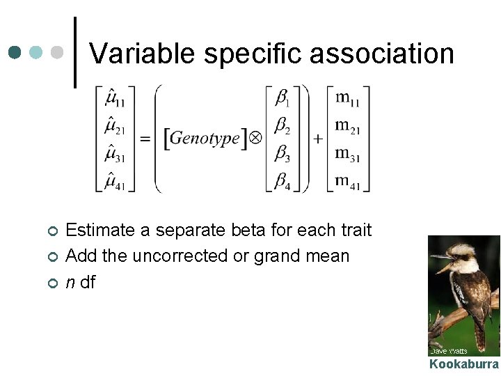 Variable specific association ¢ ¢ ¢ Estimate a separate beta for each trait Add