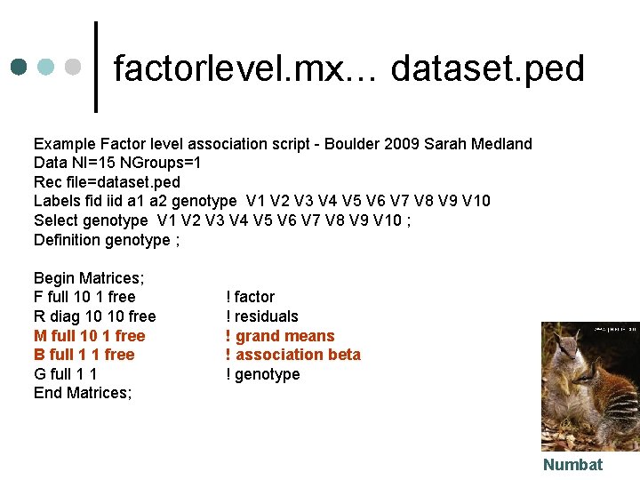 factorlevel. mx… dataset. ped Example Factor level association script - Boulder 2009 Sarah Medland