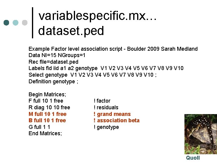 variablespecific. mx… dataset. ped Example Factor level association script - Boulder 2009 Sarah Medland