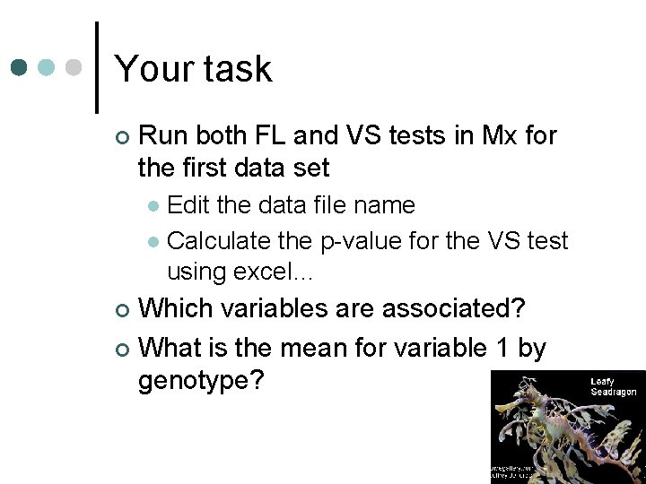 Your task ¢ Run both FL and VS tests in Mx for the first
