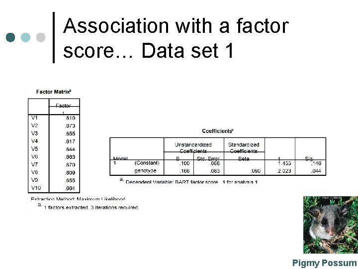 Association with a factor score… Data set 1 Pigmy Possum 