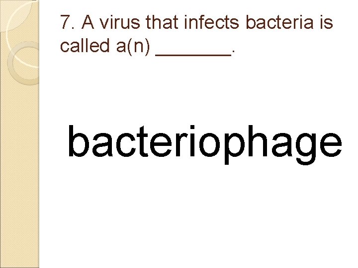 7. A virus that infects bacteria is called a(n) _______. bacteriophage 