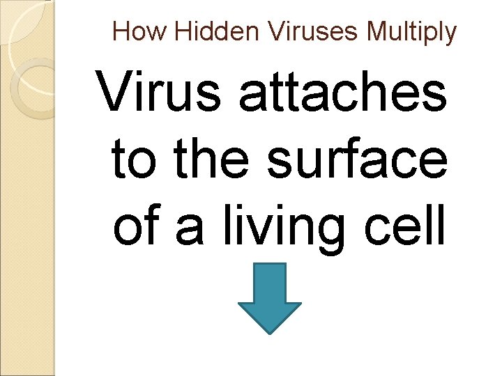 How Hidden Viruses Multiply Virus attaches to the surface of a living cell 