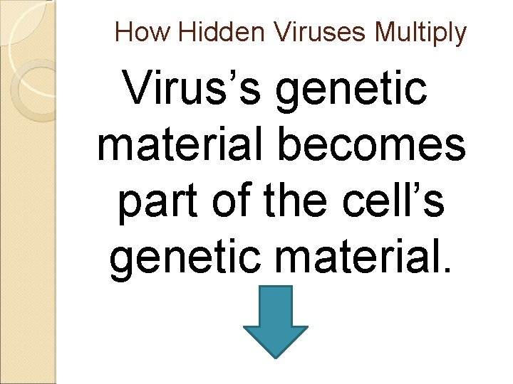 How Hidden Viruses Multiply Virus’s genetic material becomes part of the cell’s genetic material.