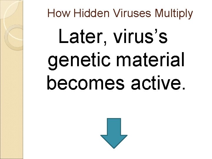 How Hidden Viruses Multiply Later, virus’s genetic material becomes active. 