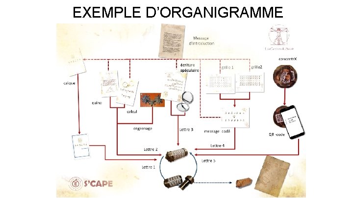 EXEMPLE D’ORGANIGRAMME 