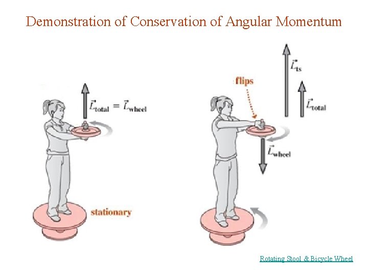 Demonstration of Conservation of Angular Momentum Rotating Stool & Bicycle Wheel 