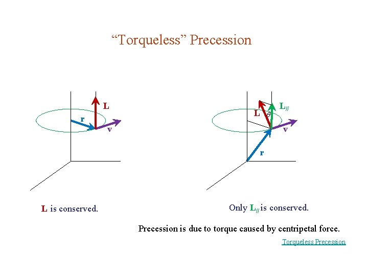 “Torqueless” Precession L r L L// v v r L is conserved. Only L//