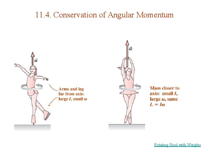 11. 4. Conservation of Angular Momentum Rotating Stool with Weights 