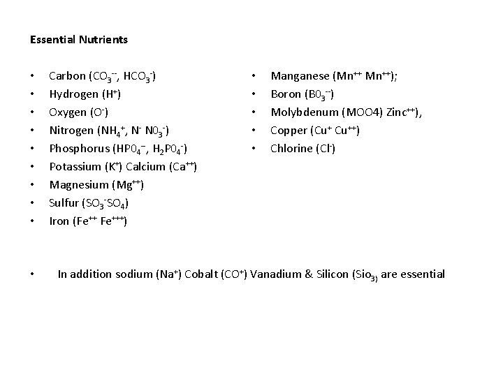 Essential Nutrients • • • Carbon (CO 3 --, HCO 3 -) Hydrogen (H+)