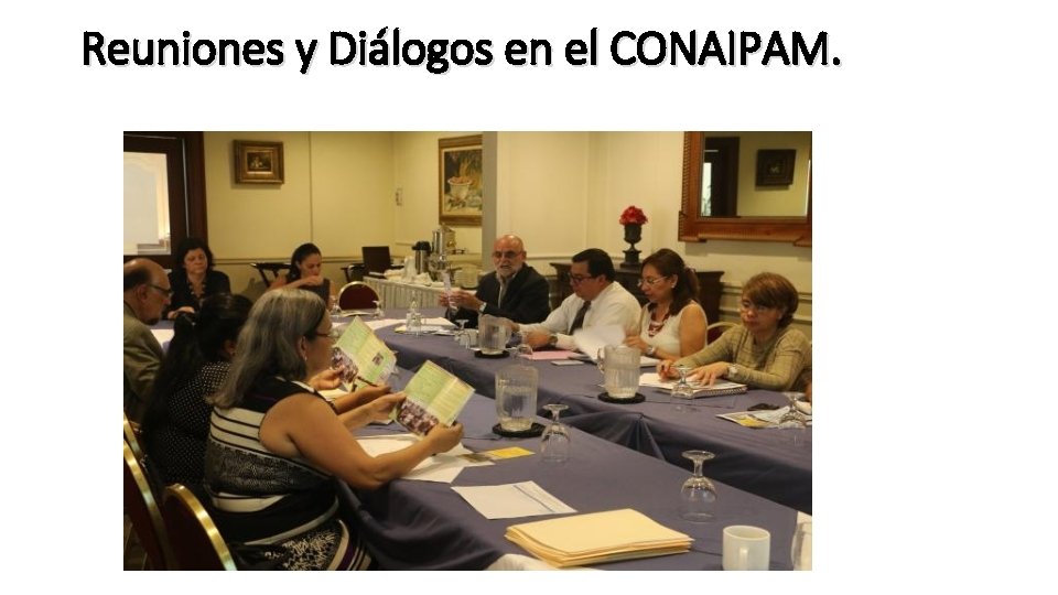 Reuniones y Diálogos en el CONAIPAM. 