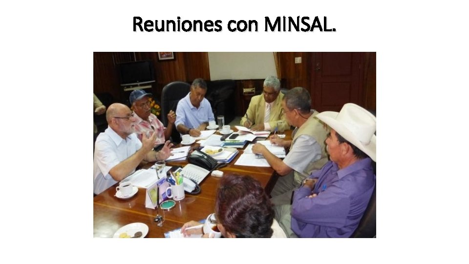 Reuniones con MINSAL. 