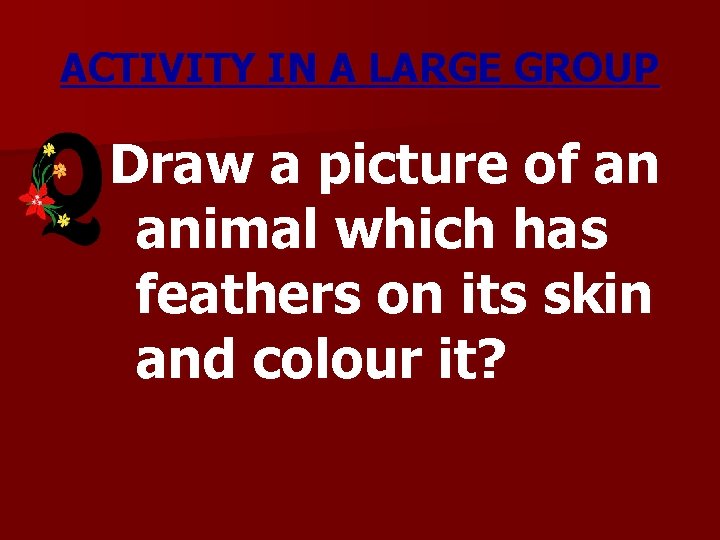 ACTIVITY IN A LARGE GROUP Draw a picture of an animal which has feathers