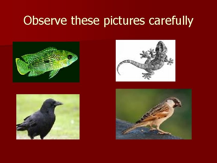 Observe these pictures carefully 