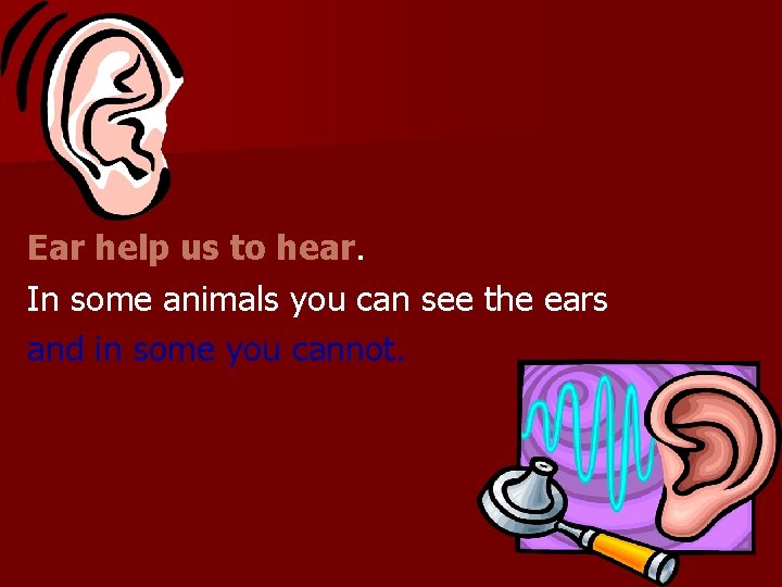 Ear help us to hear. In some animals you can see the ears and