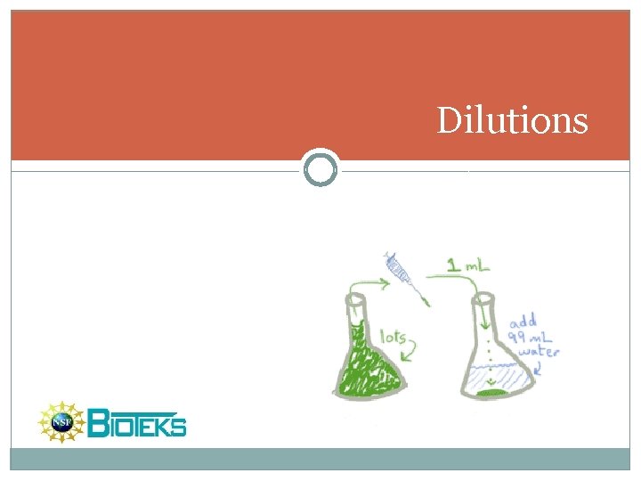 Dilutions 