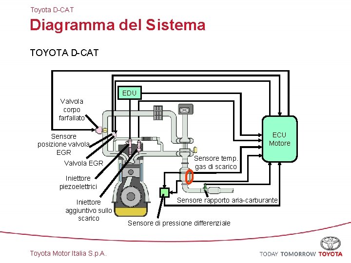 Toyota D-CAT Diagramma del Sistema TOYOTA D-CAT EDU Valvola corpo farfallato Sensore posizione valvola