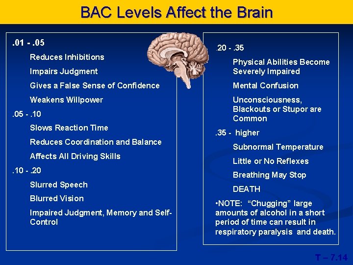 BAC Levels Affect the Brain. 01 -. 05 Reduces Inhibitions . 20 -. 35
