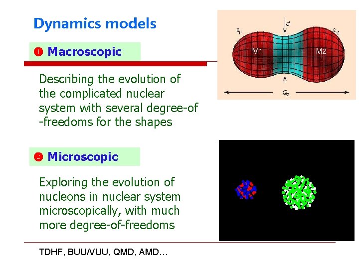 Dynamics models Macroscopic Describing the evolution of the complicated nuclear system with several degree-of