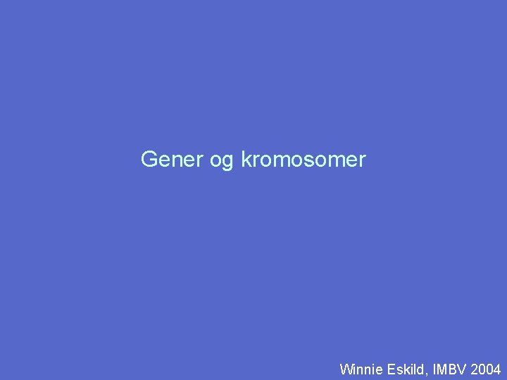 Gener og kromosomer Winnie Eskild, IMBV 2004 