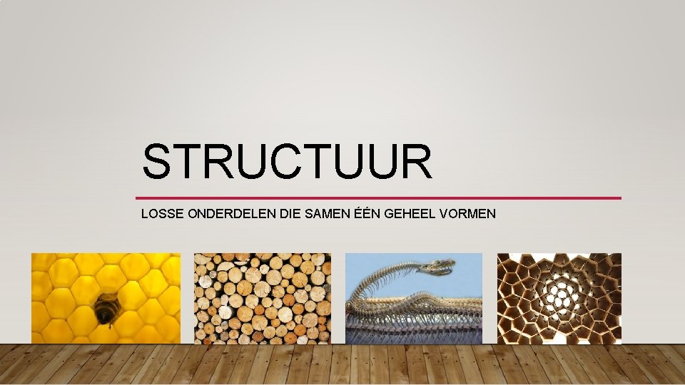 STRUCTUUR LOSSE ONDERDELEN DIE SAMEN ÉÉN GEHEEL VORMEN 