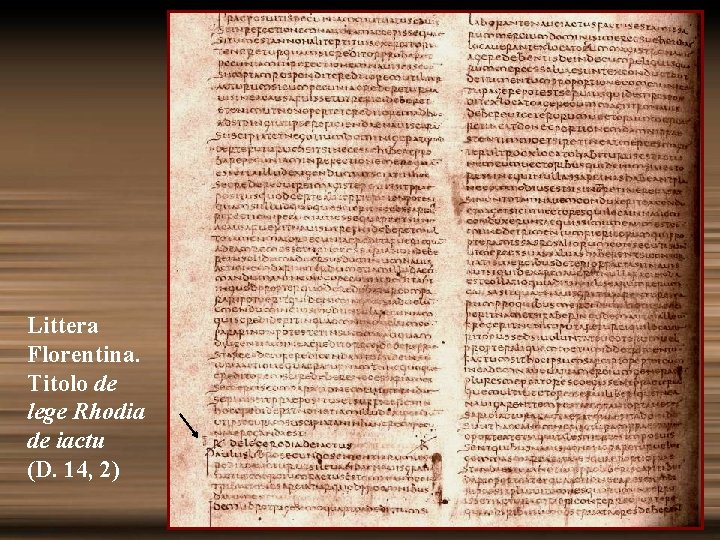 Littera Florentina. Titolo de lege Rhodia de iactu (D. 14, 2) 