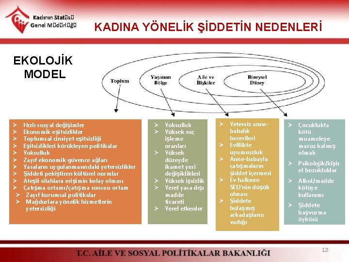 Kadının Statüsü Genel Müdürlüğü KADINA YÖNELİK ŞİDDETİN NEDENLERİ EKOLOJİK MODEL Ø Ø Ø Hızlı