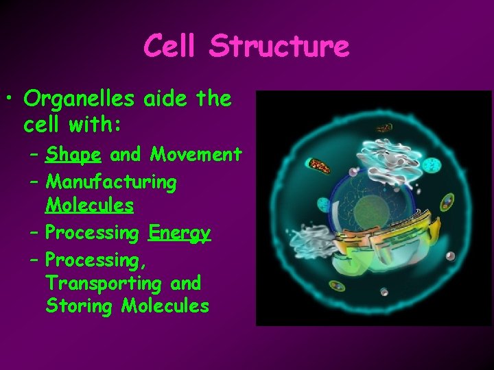 Cell Structure • Organelles aide the cell with: – Shape and Movement – Manufacturing