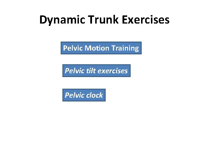 Dynamic Trunk Exercises Pelvic Motion Training Pelvic tilt exercises Pelvic clock 