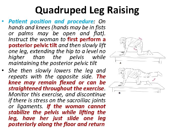 Quadruped Leg Raising • Patient position and procedure: On hands and knees (hands may