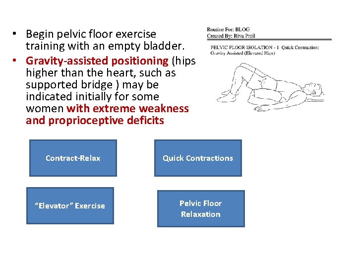  • Begin pelvic floor exercise training with an empty bladder. • Gravity-assisted positioning